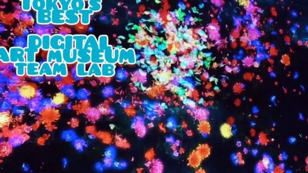 MAGICAL DIGITAL ART MUSEUM team lab ,Tokyo