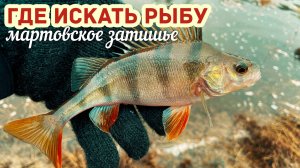 РАННИМ Утром РЫБА ЖДЁТ Твои приманки?? Рыба ждёт тепла! #микроджиг #мормышинг