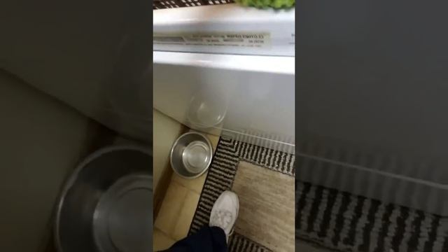 Norwex Nugget Time! Envirowand tip 😁 смотреть онлайн