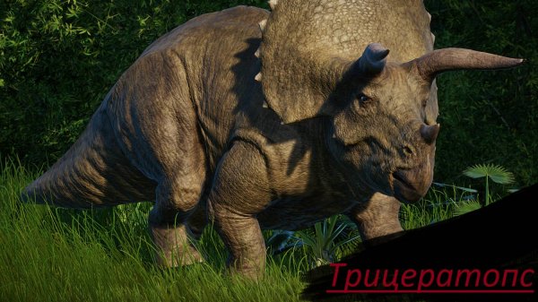 Трицератопс.