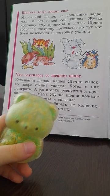 ми-ми-мишный щенок нет есть ми-ми-мишный медведь антистресс есть