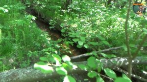 Разведка ручьёв (часть вторая)