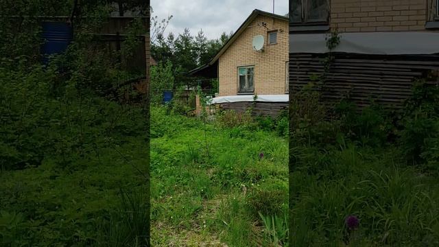 дача Электрон 102 тишина птицы смотреть онлайн