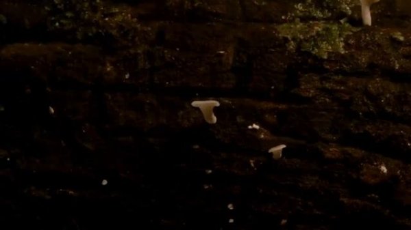 Kim gives field guidance.