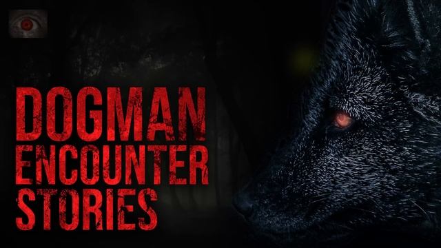 WEREWOLF LOOKING ANIMALS - 6 SCARY STORIES OF DOGMAN ENCOUNTERS смотреть онлайн