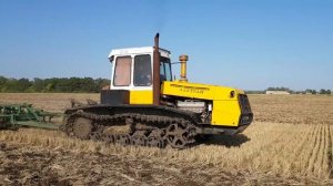 Гусеничный трактор Т-404 Культивация стерни