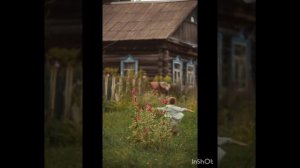 Вкус счастья.mp4