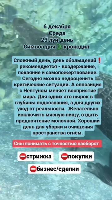 #гороскоп #астрология #луна #овен #телец #близнецы #рак #лев #дева #стрелец #козерог #водолей #рыбы смотреть онлайн