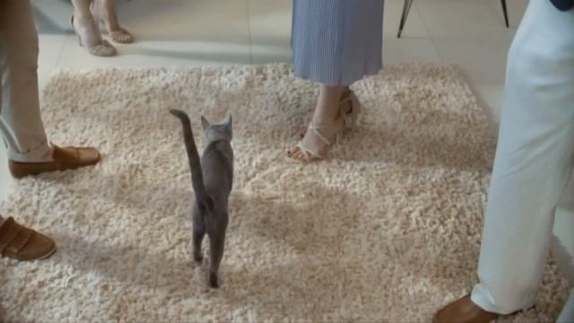 Реклама Sheba 2017 | Шеба - Сопротивление бесполезно