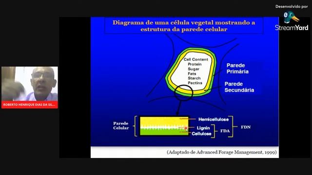 NUTRIÇÃO E MANEJO ALIMENTAR DE OVINOS DE CORTE #OvinoPrime смотреть онлайн