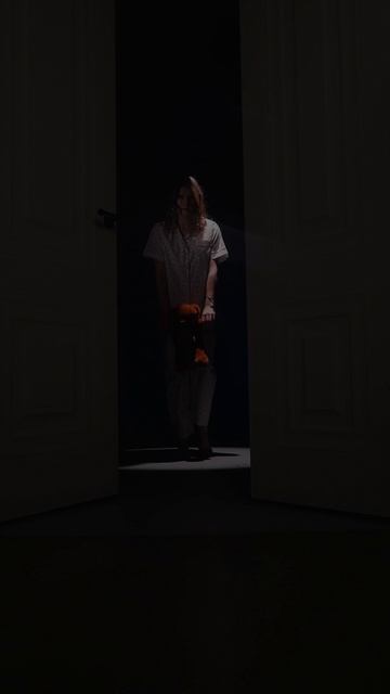 Video Visuals ZHR Video Production 2025