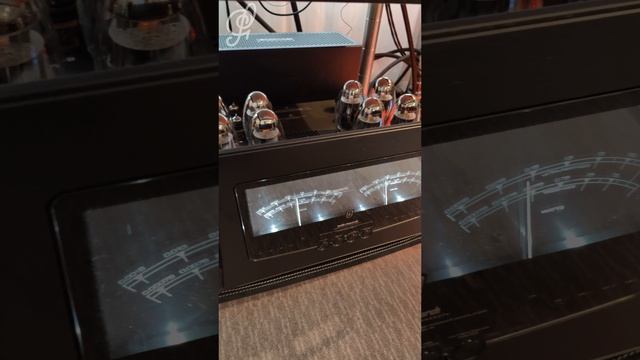 Spendor + Audio Research - Hi-Fi & High End Show 2025 СПб смотреть онлайн