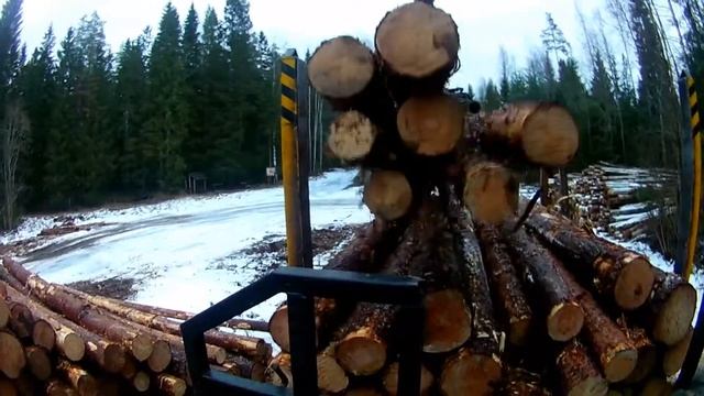 Скоростная разгрузка леса. Зимы нету, всё печально... смотреть онлайн