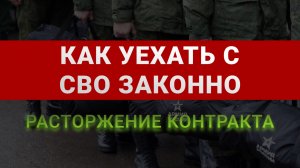 Как расторгнуть контракт на СВО: законные основания и порядок действий