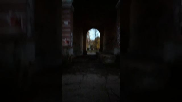 Пойдемте за поводком для собаки смотреть онлайн