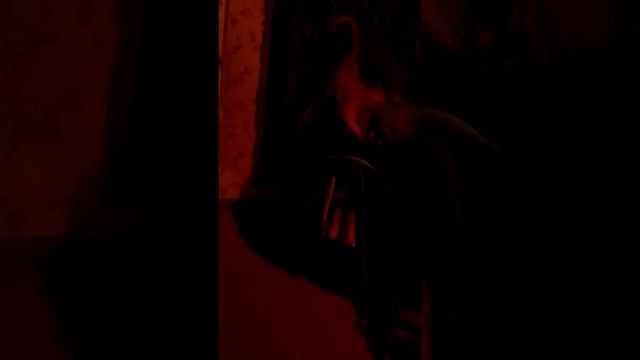 Кошки сходят с ума смотреть онлайн