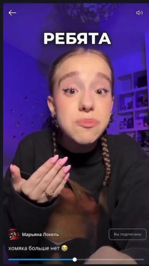 хомяка больше нет 😭