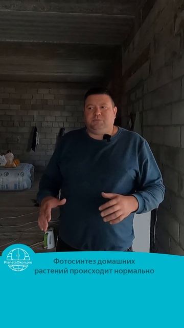 Влияние мультифункционального стеклопакета на домашние растения смотреть онлайн