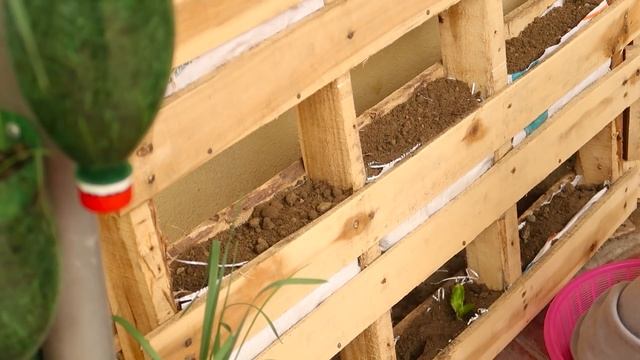 Recycling Pallet to Grow Vegetables at Home, Easy for Beginners | TEO Garden смотреть онлайн