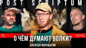 О чем думают волки? Алексей Верещагин #Постскриптум