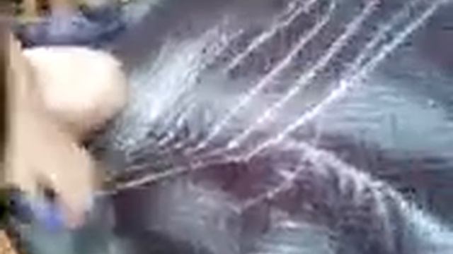 Шашки мишка фрэдди vs хачапурчик смотреть онлайн