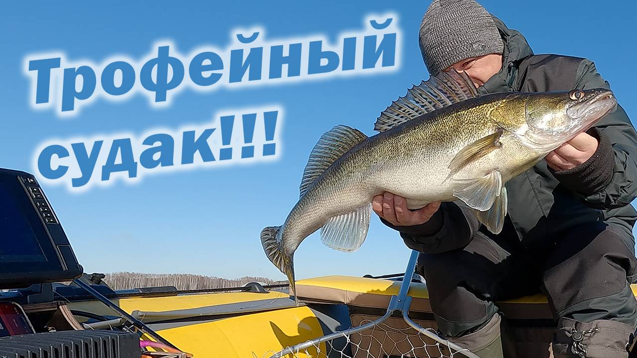 РЫБАЛКА В КАНУН ЗАПРЕТА ИЛИ ЛОВЛЯ ТРОФЕЙНОГО СУДАКА!!! смотреть онлайн
