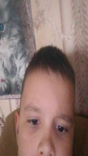 боже извините