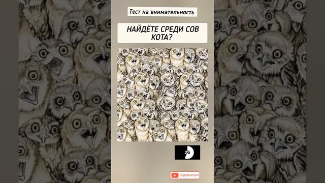 головоломка с ответом, найдёте среди сов, кота? смотреть онлайн