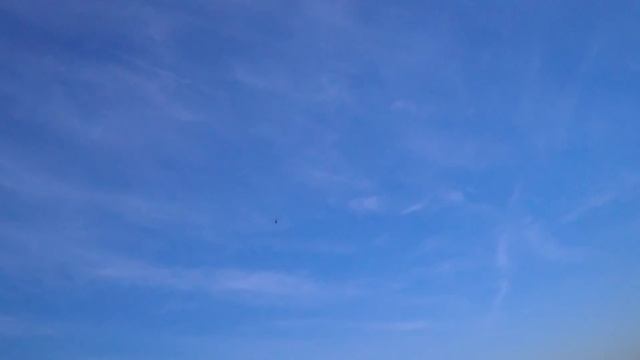 Mikado Logo 600 смотреть онлайн