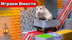 Лабиринт для Хомяка ! Умный Хомяк выбирается из ИГРЫ МАЙНКРАФТ ! Видео для детей