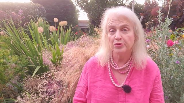 Mid-summer garden tour - plus top gardening jobs to do смотреть онлайн