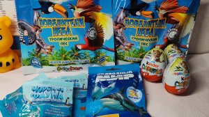 Распаковка игрушек, распаковка сюрпризов из Красного и белого, sbabam