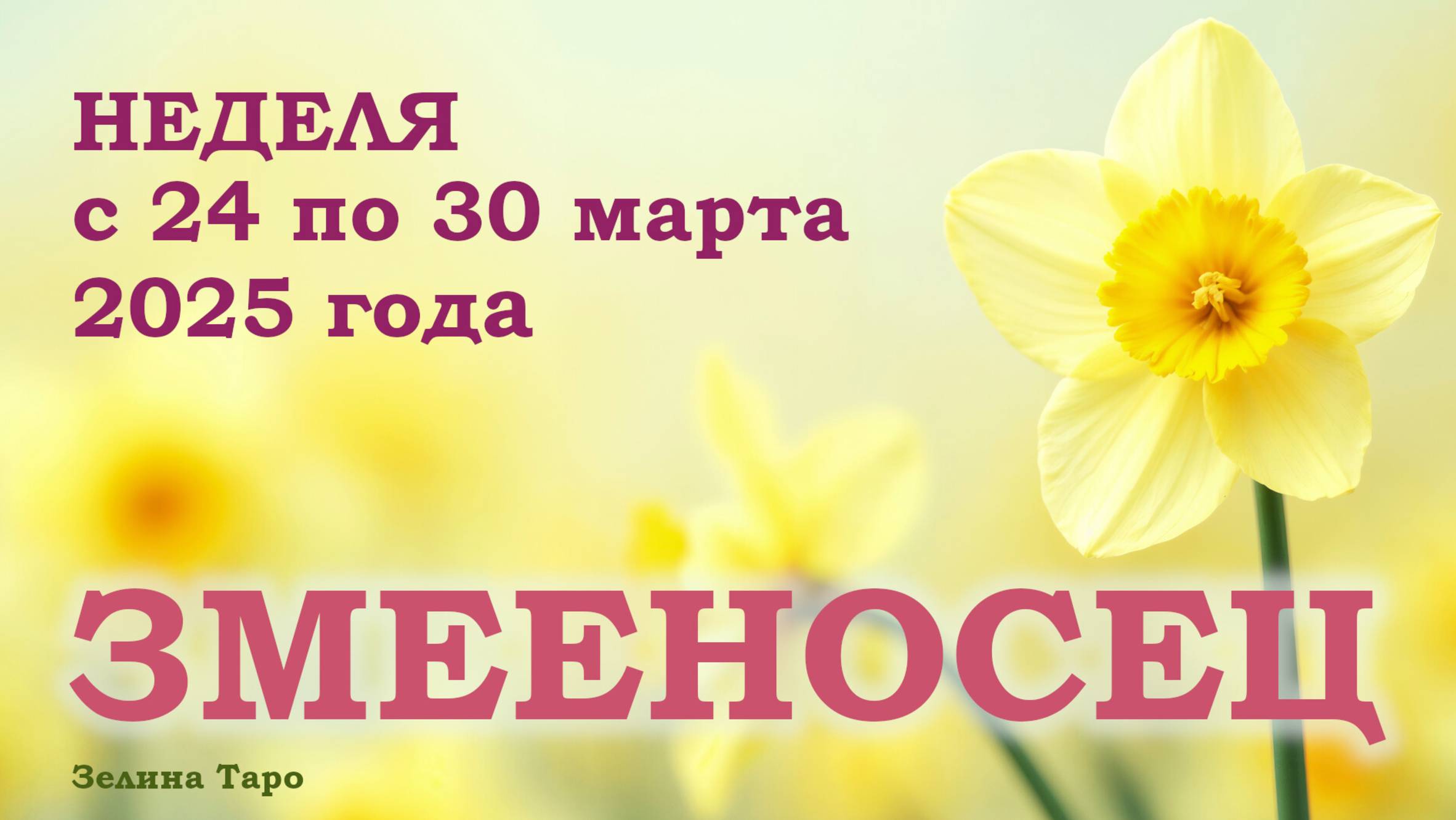 ЗМЕЕНОСЕЦ | ТАРО прогноз на неделю с 24 по 30 марта 2025 года
