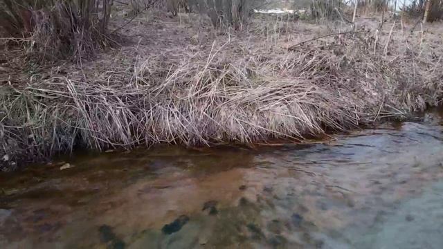 Еду на работу в Арт-Пензу/ парк 