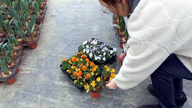 봄이라 너무 좋은 산골의 소소한 일상~!! смотреть онлайн