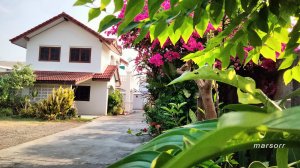 просто утро, двор, веранда ч.2 цветы канчанабури กาญจนบุรี kanchanaburi