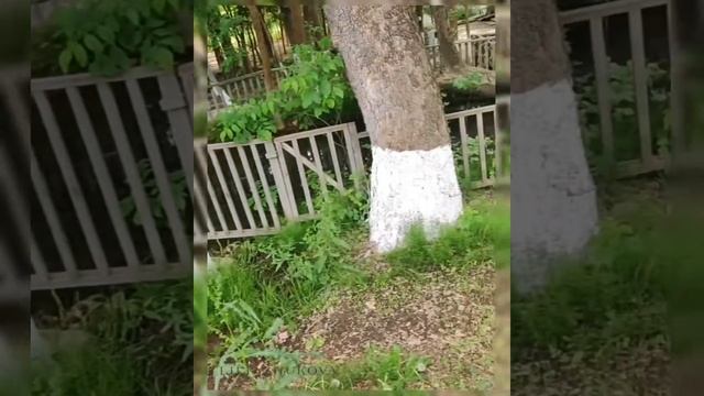 Rano Eco Village | Зона отдыха | Эко-деревня №1 в Узбекистане смотреть онлайн