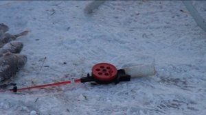 Хариус на Енисее. Зимняя рыбалка