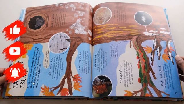 Up in the Air: Butterflies, birds, and everything up above by Zoe Armstrong смотреть онлайн