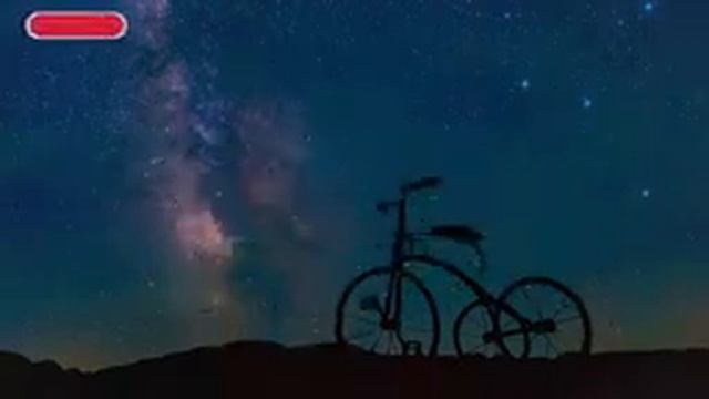Alan Walker - Running Out Of Roses (lyrics) ft. Jamie Miller смотреть онлайн