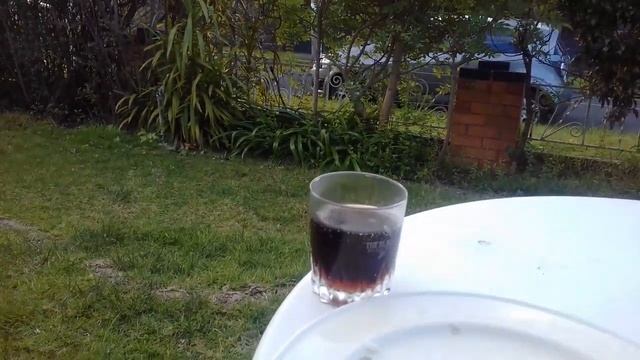 Having a Celebratory Drink 16th Sept. 2021 смотреть онлайн