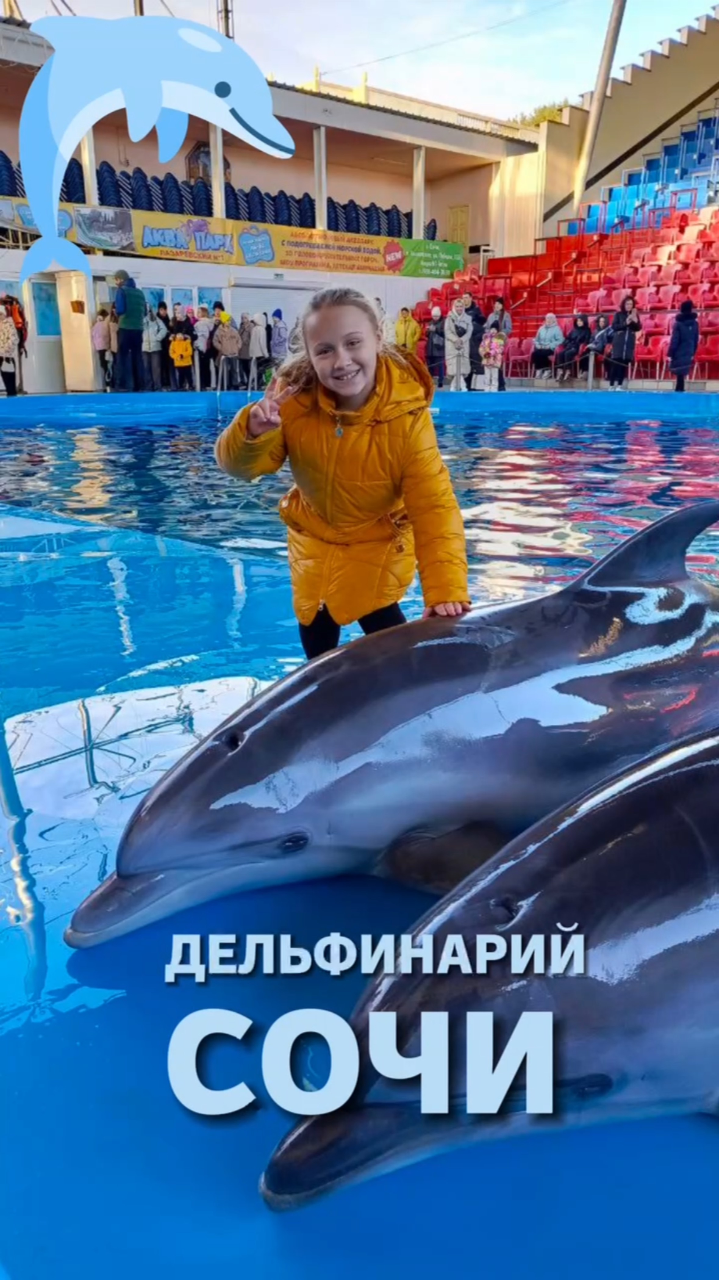 Дельфинарий Сочи смотреть онлайн