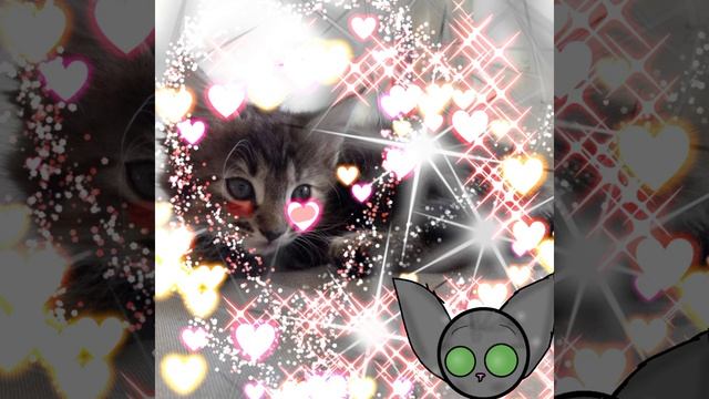 (песня) пушистые лапки смотреть онлайн