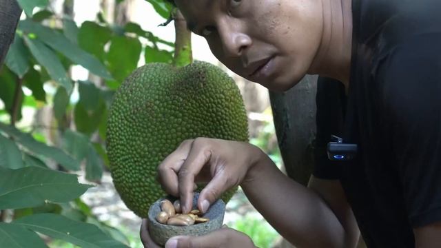 Beton Enak Banget, Mengolah Biji Nangka смотреть онлайн
