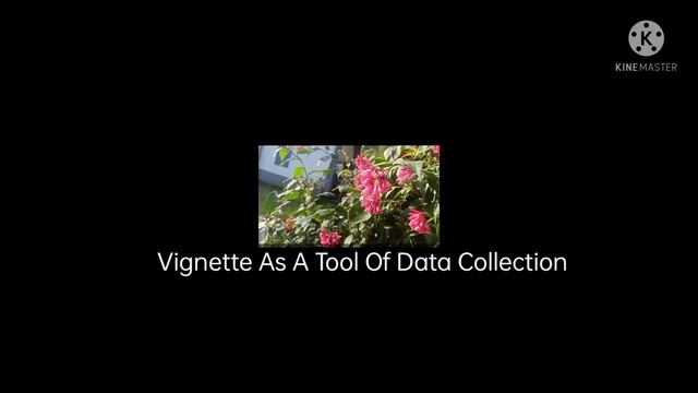 Vignette as a tool of data collection смотреть онлайн