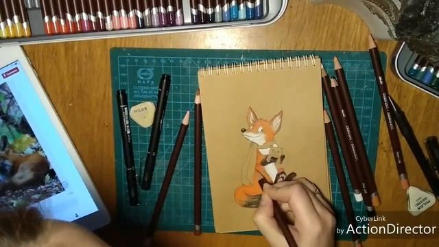 Fox drawing. Color pencils speed drawing. смотреть онлайн