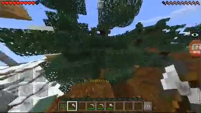 СЕСТРА ЗАСТЕСНЯЛАСЬ