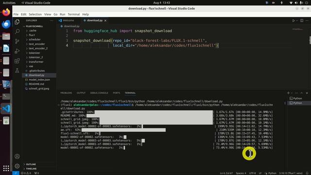 Install and Run FLUX.1-schnell text to Image Model in Python and Linux on Local Computer смотреть онлайн