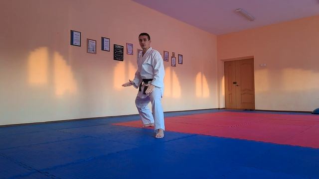 Медленные движения Годзюшихо шо #karate #sports #coach #martialarts #shorts