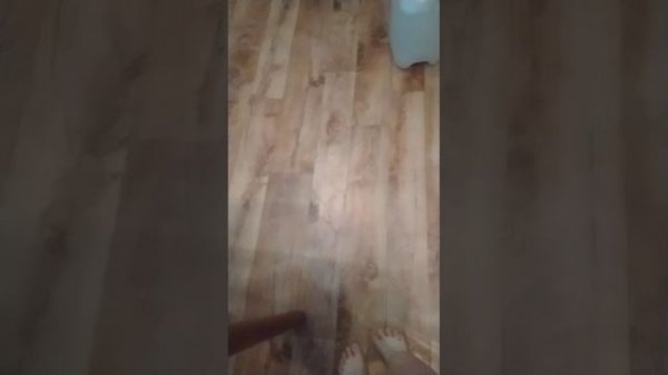 VID_20250322_190049_HSR_120.mp4